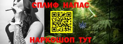 прущие грибы Краснодар