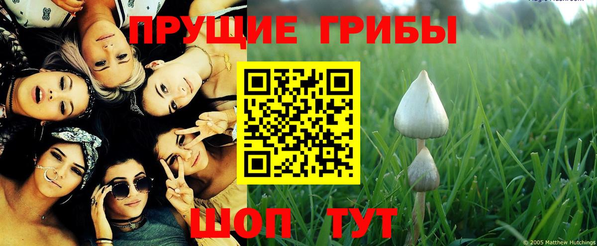 Галлюциногенные грибы ЛСД  Вход с VPN  Галлюциногенные грибы Psilocybe  цены   Комсомольск-на-Амуре 